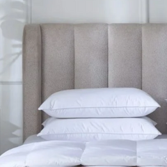 Standard Pillow - 30% Down/70% Feather - 100% Cotton Shell