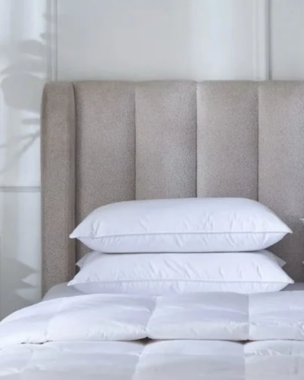 Standard Pillow - 30% Down/70% Feather - 100% Cotton Shell