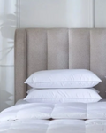 Standard Pillow - 30% Down/70% Feather - 100% Cotton Shell