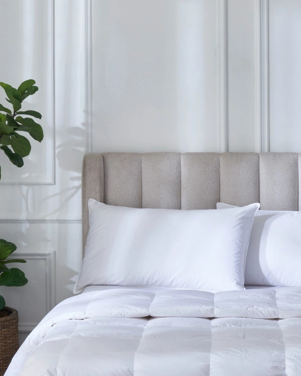 King Pillow - 30% Down/70% Feather - 100% Cotton Shell